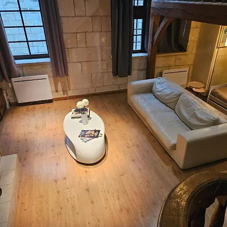 Historic Robin Quantin Hyper-center Place Plumereau Daire *