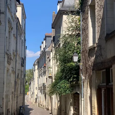 Historic Robin Quantin Hyper-center Place Plumereau * Тур