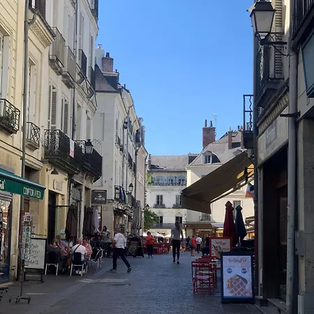 Historic Robin Quantin Hyper-center Place Plumereau