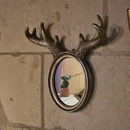 Historic Robin Quantin Hyper-center Place Plumereau Daire *