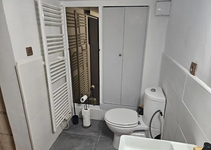 Historic Robin Quantin Hyper-center Place Plumereau