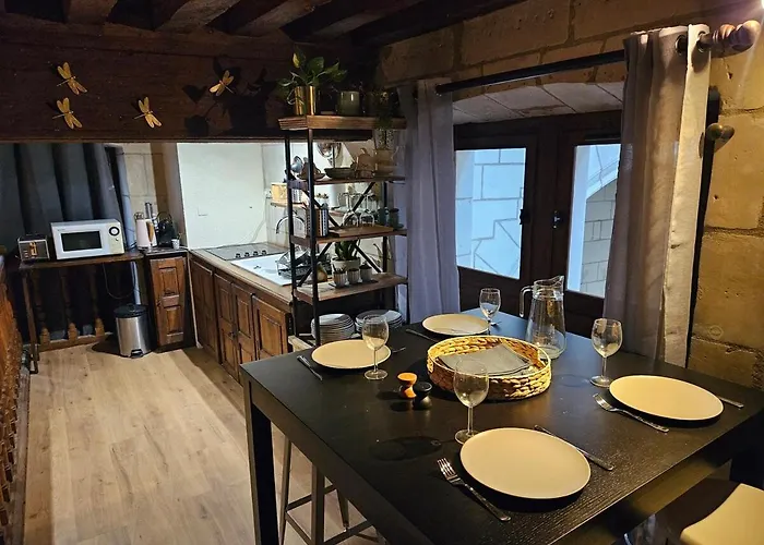 Apartment Historic Robin Quantin Hyper-center Place Plumereau *