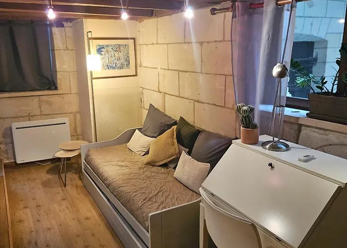 Apartment Historic Robin Quantin Hyper-center Place Plumereau *