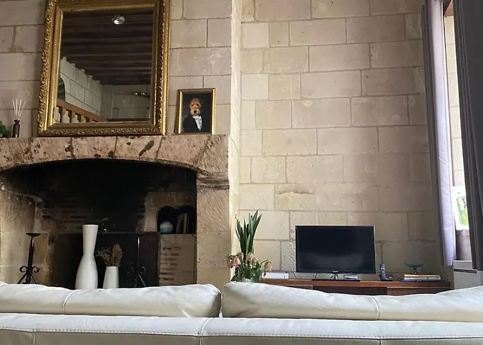 Historic Robin Quantin Hyper-center Place Plumereau Apartment Tours