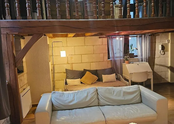 Historic Robin Quantin Hyper-center Place Plumereau * 图尔