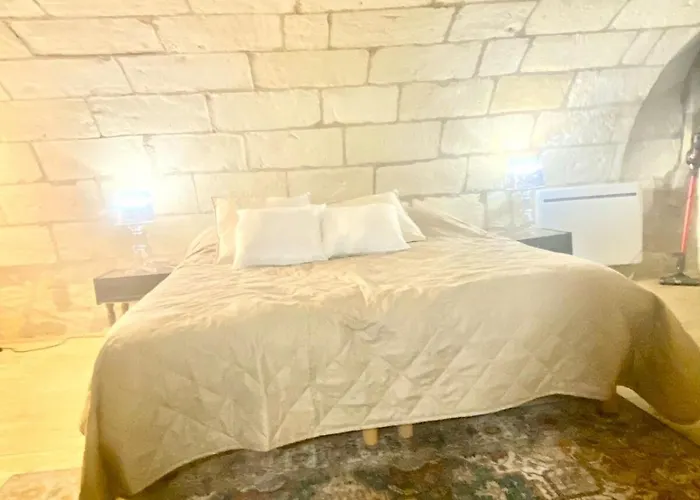 Historic Robin Quantin Hyper-center Place Plumereau