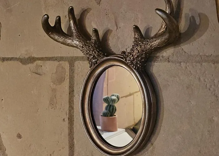 Historic Robin Quantin Hyper-center Place Plumereau Apartment *